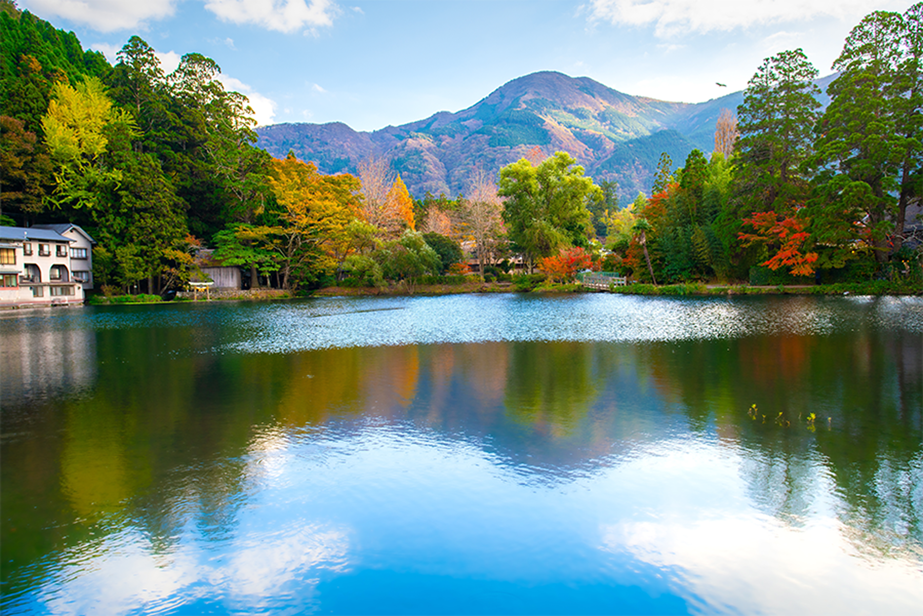 日本九州的大分縣風景清幽，彷彿走進一幅柔光山水畫裡。（圖片來源：shutterstock）